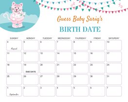 Cat and Kitten Baby Due Date Calendar