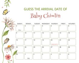 Wildflowers Baby Due Date Calendar