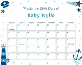 Nautical Elements Baby Due Date Calendar