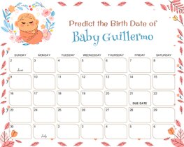 Cute Anime Baby Baby Due Date Calendar