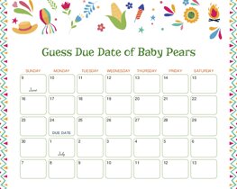 Carnival Celebration Baby Due Date Calendar