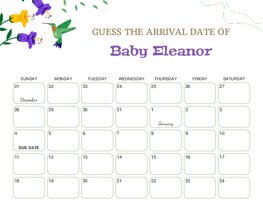 Flowers and Hummingbird Baby Due Date Calendar