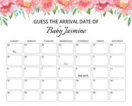 Peach Floral Baby Due Date Calendar