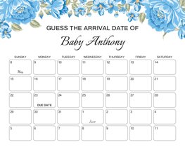 Blue Floral Baby Due Date Prediction Calendar
