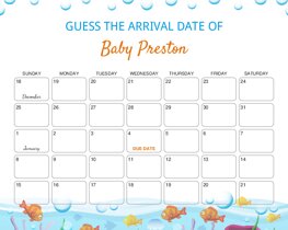 Under the Sea Baby Due Date Calendar