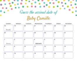 Rainbow Dots Baby Due Date Calendar