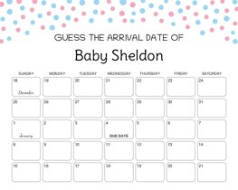 Blue Pink Polka Dots Baby Due Date Calendar