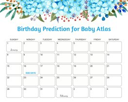 Blue Hydrangeas Baby Due Date Calendar