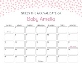 Blush Pink Dots Baby Due Date Calendar