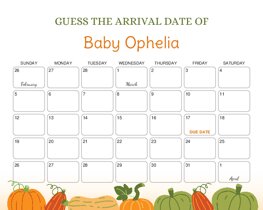 Fall Autumn Pumpkins Baby Due Date Calendar