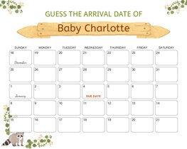 Racoon Woodland Baby Due Date Calendar