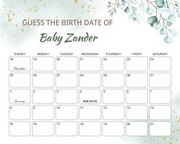 Eucalyptus Baby Due Date Calendar