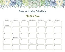 Succulent Baby Due Date Calendar