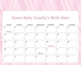 Light Pink Stripes Baby Due Date Calendar