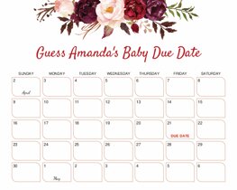 Marsala Floral Baby Due Date Calendar