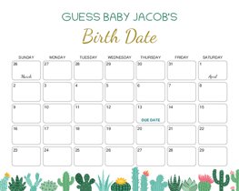 Cacti Baby Due Date Calendar