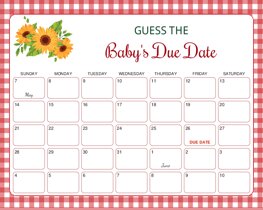BBQ BabyQ Red Checkered Baby Due Date Calendar