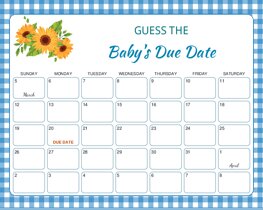 BBQ BabyQ Blue Checkered Baby Due Date Calendar