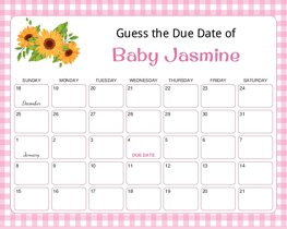 BBQ BabyQ Pink Checkered Baby Due Date Calendar