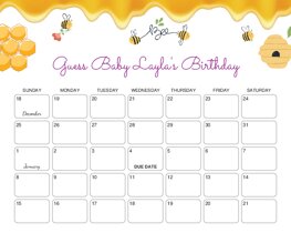 Honey and Bees Baby Due Date Calendar