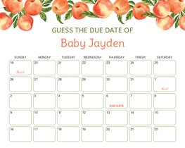 Watercolor Peaches Baby Due Date Calendar