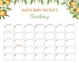 Tangerine Baby Due Date Calendar
