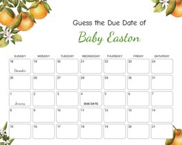 Clementine Baby Due Date Calendar