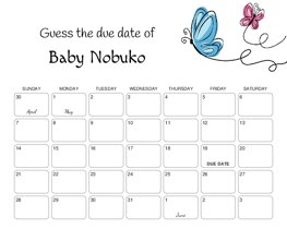 Pink Blue Butterflies Baby Due Date Calendar