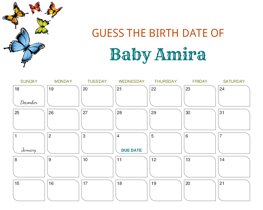 Colorful Butterflies Baby Due Date Calendar