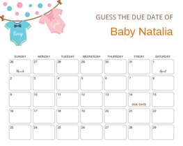 Pink Blue Onesie Baby Due Date Calendar