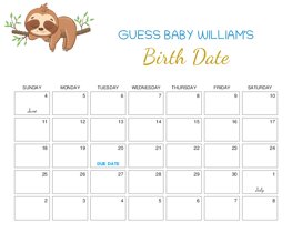 Cute Sloth Sleeps on Tree Baby Due Date Calendar