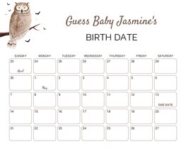Owl and Bats Baby Due Date Calendar