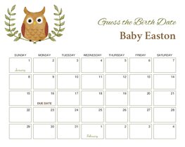Cute Owl Baby Due Date Calendar