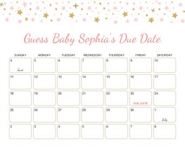 Sparkle Gold Pink Stars Baby Due Date Calendar