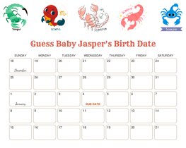 Zodiac Sign Scorpio (Oct 24 - Nov 21) Baby Due Date Calendar