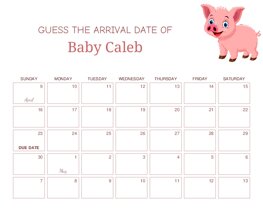 Cute Pig Baby Due Date Calendar