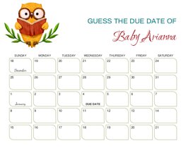 Watercolor Owl Reading Baby Due Date Calendar
