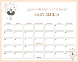 Cute Mouse Ballerina Baby Due Date Calendar