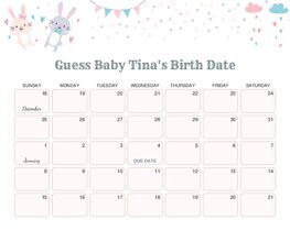 Cute Bunny Rabbit Baby Due Date Calendar