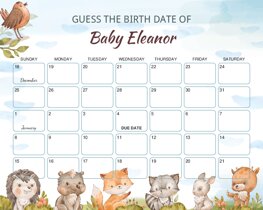 Watercolor Forest Animals Baby Due Date Calendar