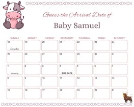 Cute Baby Ox Baby Due Date Calendar