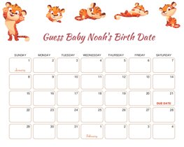 Cute Tiger Baby Due Date Calendar