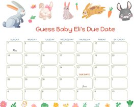 Rabbit Baby Due Date Calendar