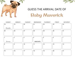 French Bulldog, Pug Puppy Baby Due Date Calendar