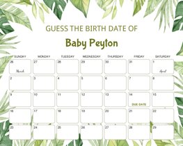 Watercolor Tropical Leaves Baby Due Date Calendar