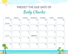 Summer Beach Landscape Baby Due Date Calendar