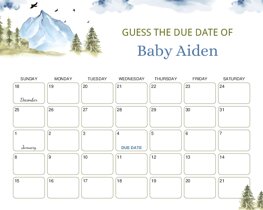 Mountain Forest Scenery Baby Due Date Calendar