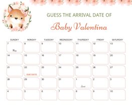 Cute Fox Baby Due Date Calendar