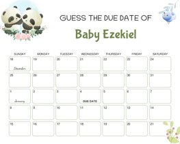 Cute and Cuddly Pandas Baby Due Date Calendar