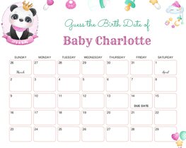 Cute Baby Girl Panda Baby Due Date Calendar